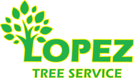 Logo for Lopez Tree Service