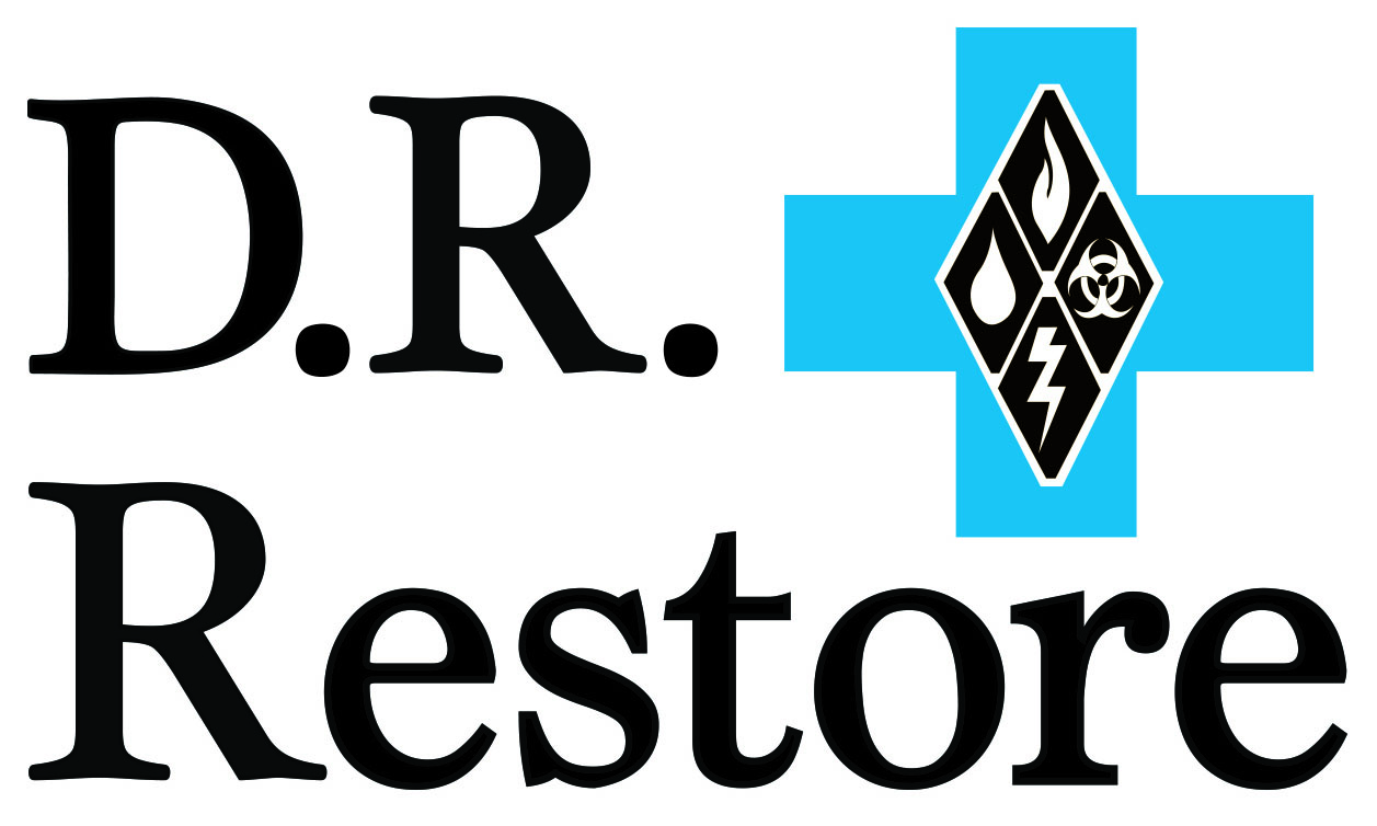 Logo for DR Restore