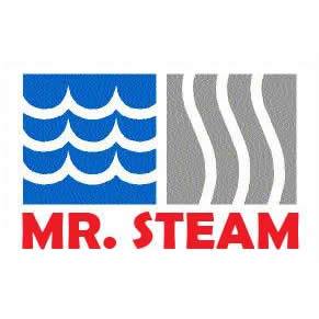 Mr Steam LLC logo