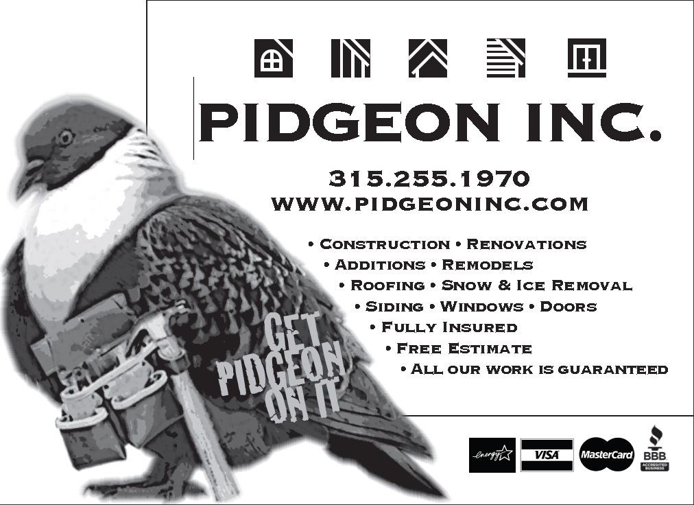 Avatar for Pidgeon Roofing & Renovations