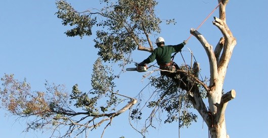 Logo for The Haddon Tree Company