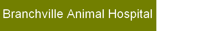 Logo for BRANCHVILLE ANIMAL HOSPITAL