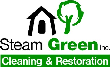 Steam Green Carpet Cleaning logo