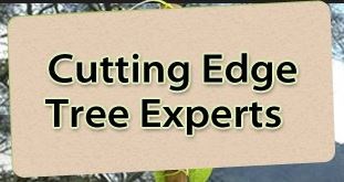 Logo for Cutting Edge Tree Experts