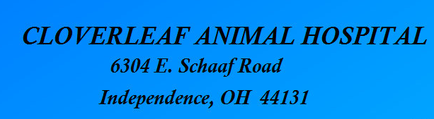 Logo for Cloverleaf Animal Hospital