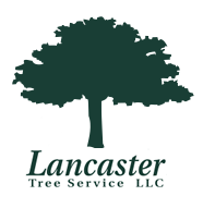 Logo for Lancaster Tree Service LLC