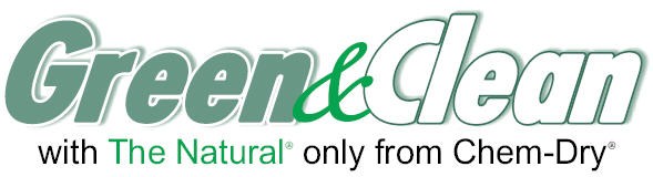 Logo for ChemDry of Stratford