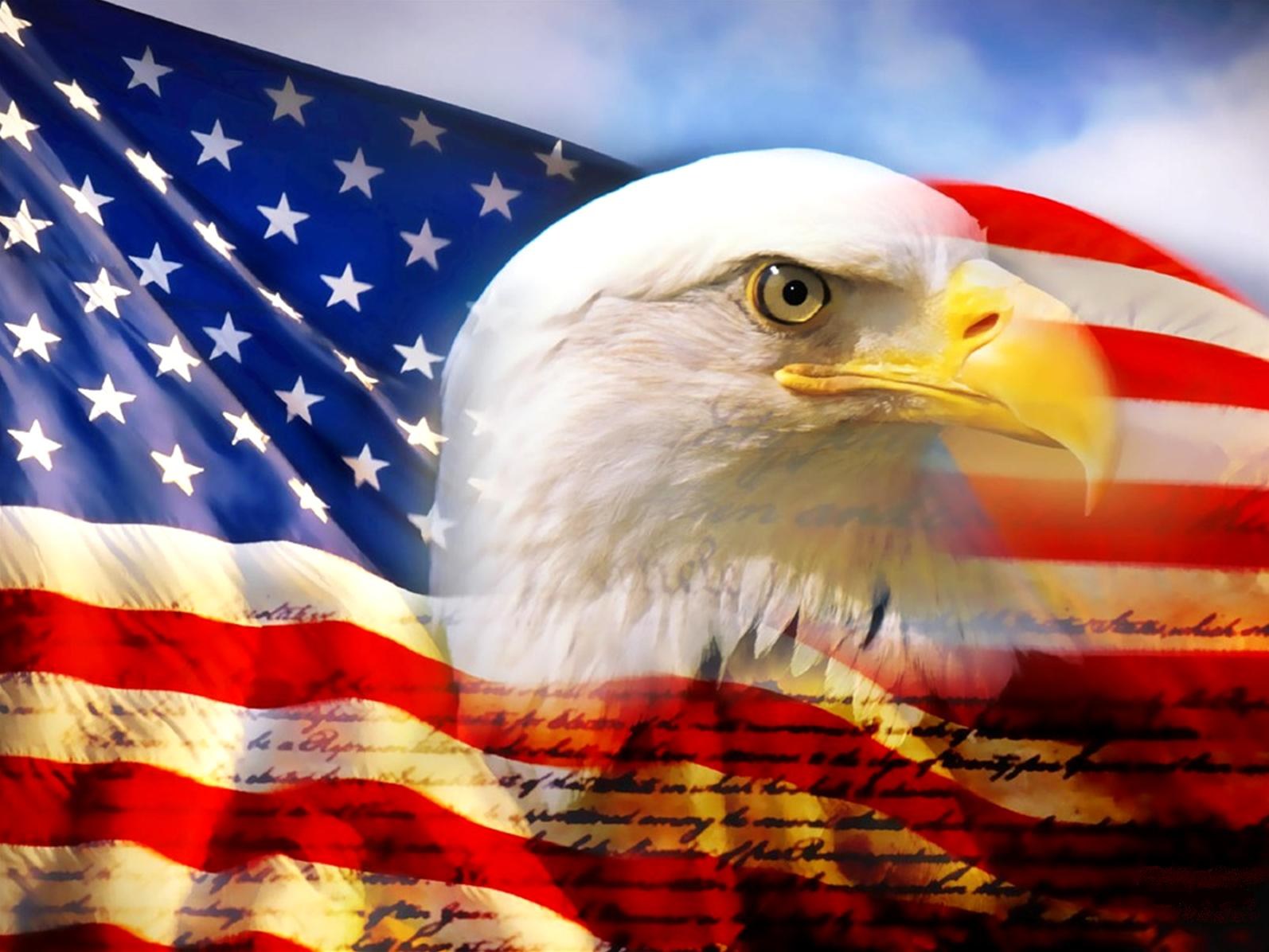 Avatar for American Tree Service