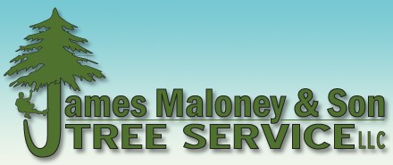 James Maloney & Son Tree Service logo
