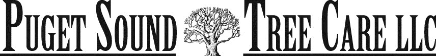 Logo for Puget Sound Tree Care LLC
