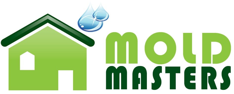 Logo for Mold Masters Inc