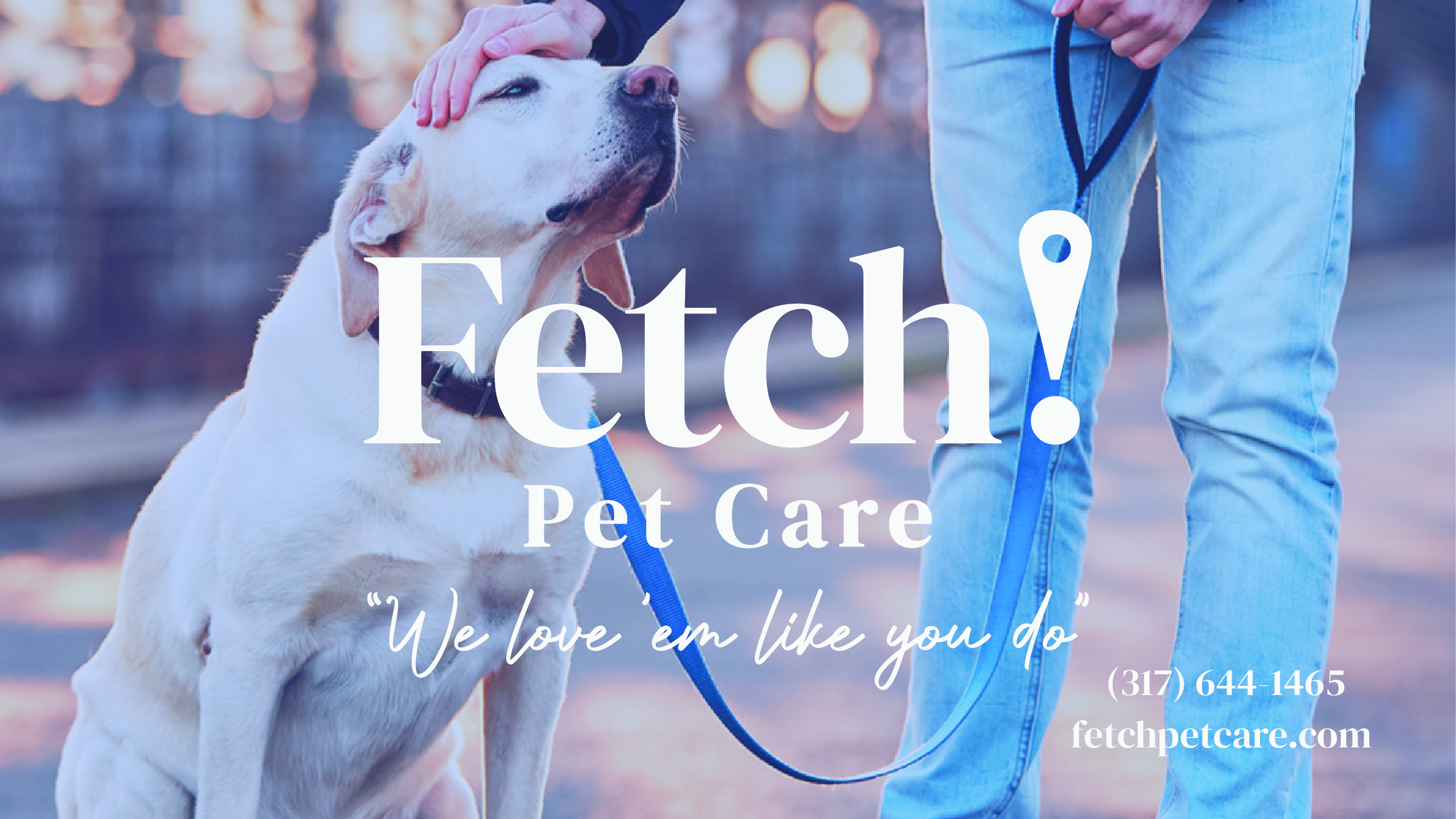Logo for FETCH! PET CARE
