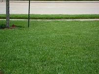 Logo for Lawn of the Month LLC