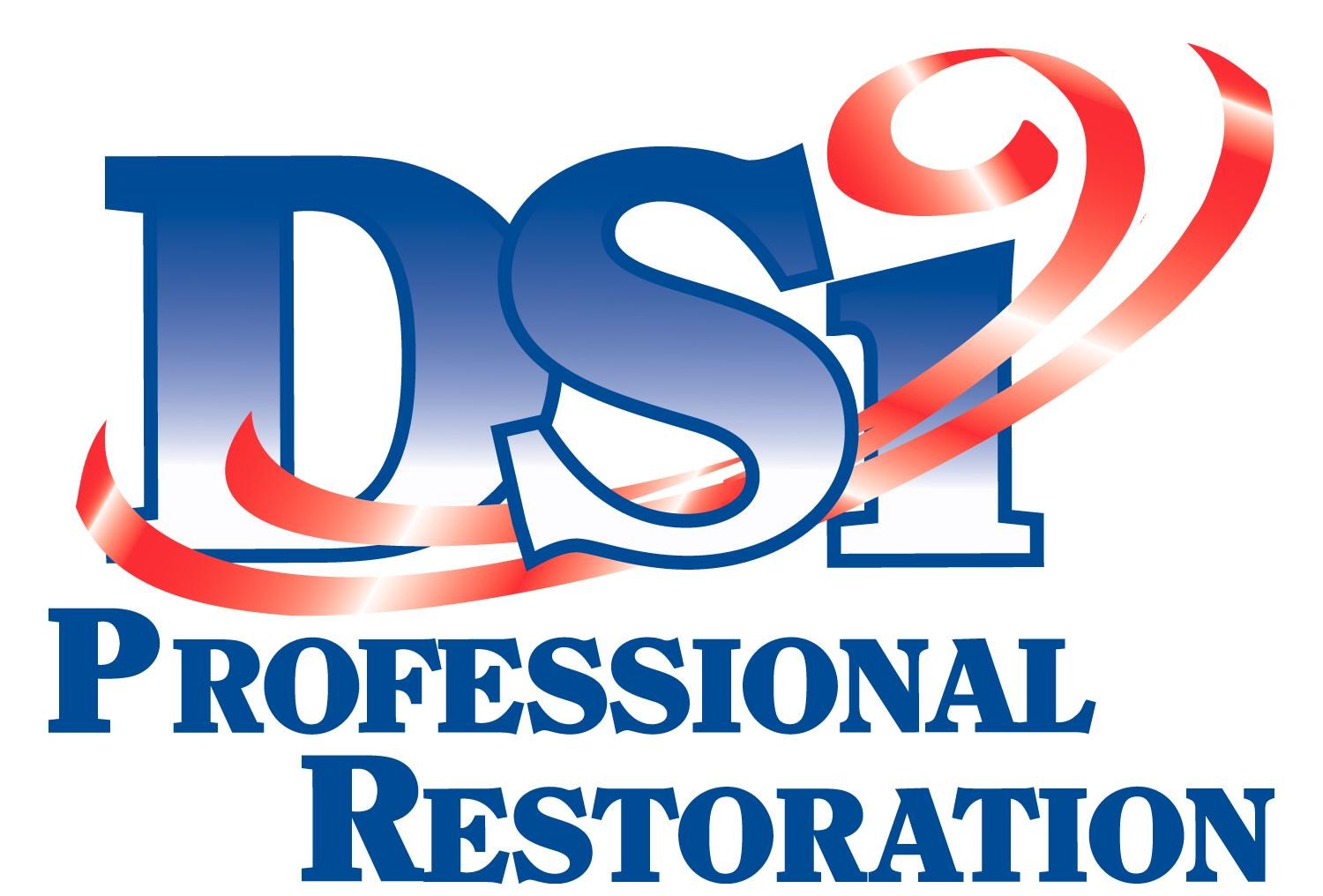 Logo for DSi Professional Restoration