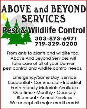 Above And Beyond Services logo