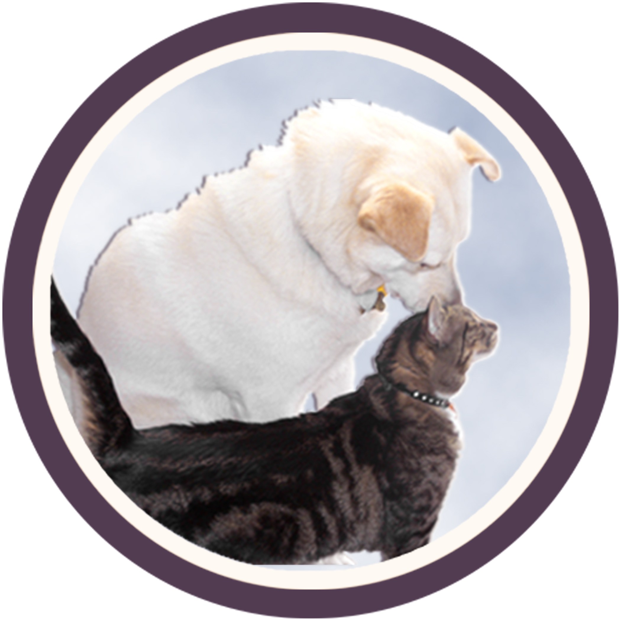 Logo for Debra Davis Pet Care