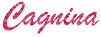 Logo for Cagnina Masonry & Landscaping