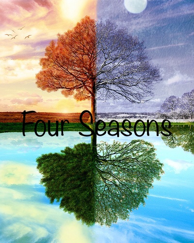 Four Seasons Lawn & Landscaping Company logo