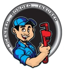 Logo for All Pro Plumbing Services LLC