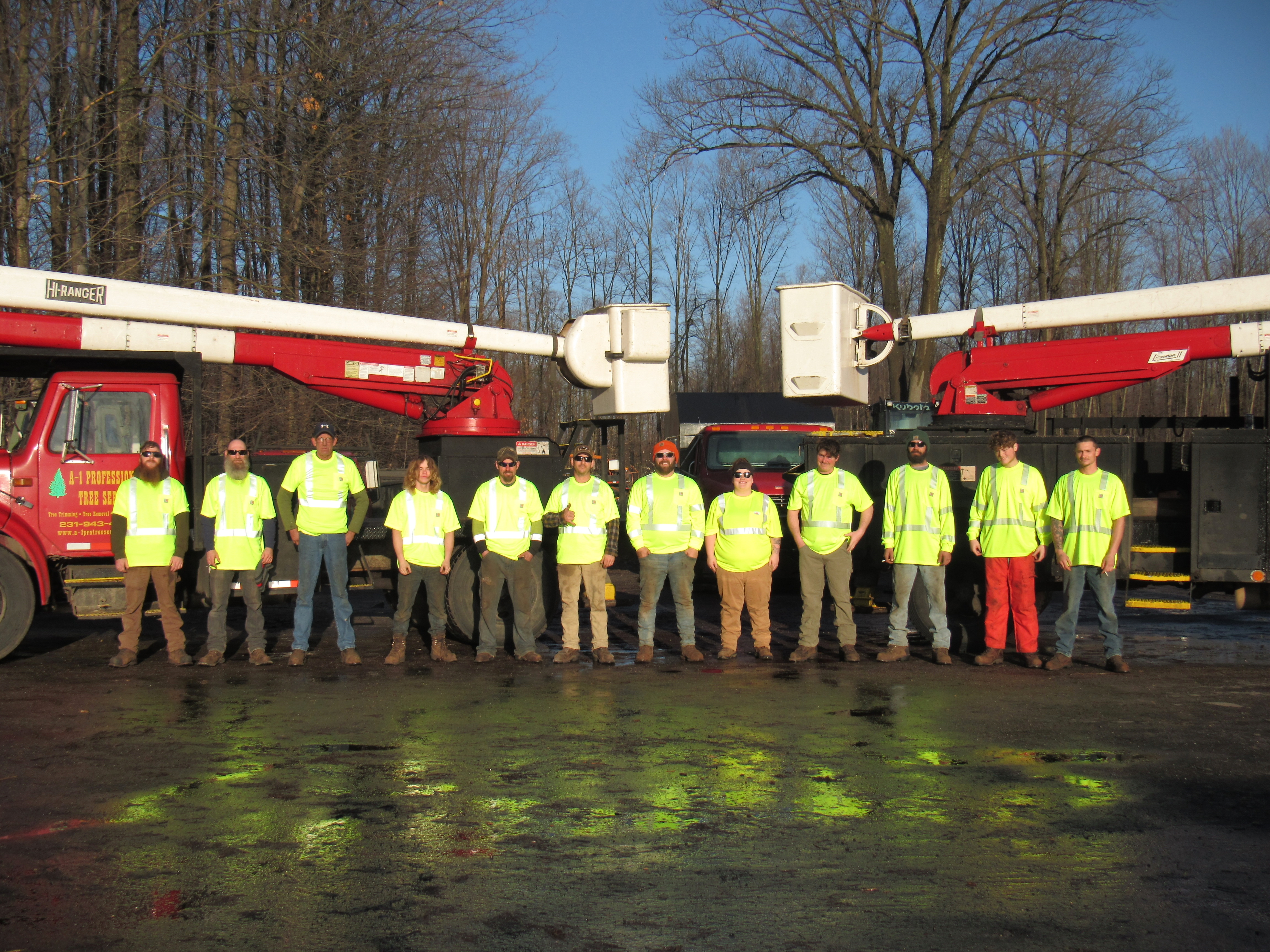 A 1 Professional Tree Service logo