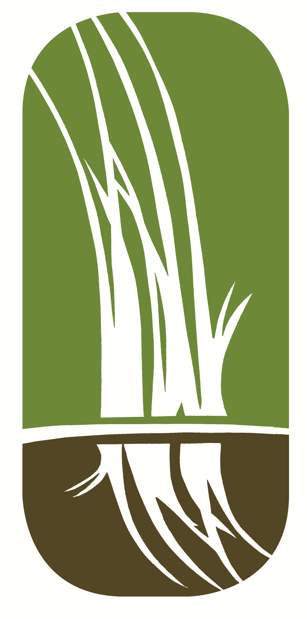 Logo for Grassy Roots Landscapes LLC