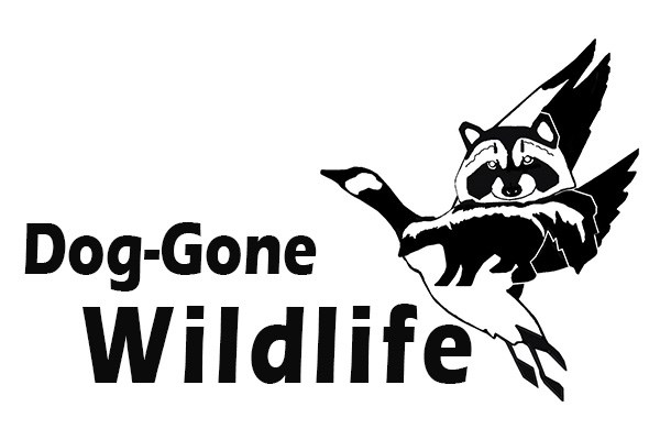 Avatar for Dog-Gone Wildlife