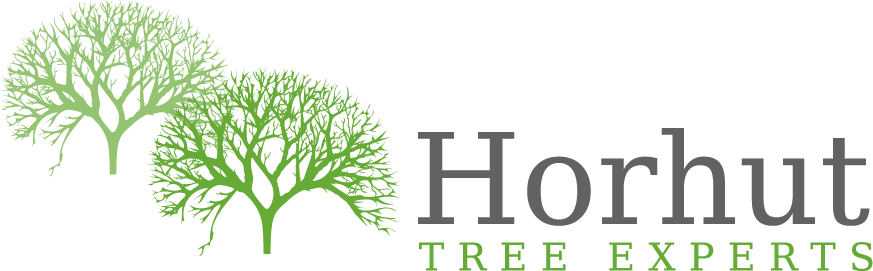 Avatar for Horhut Tree Experts