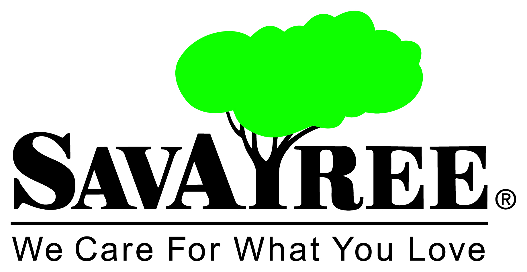 Logo for SavATree Dayton