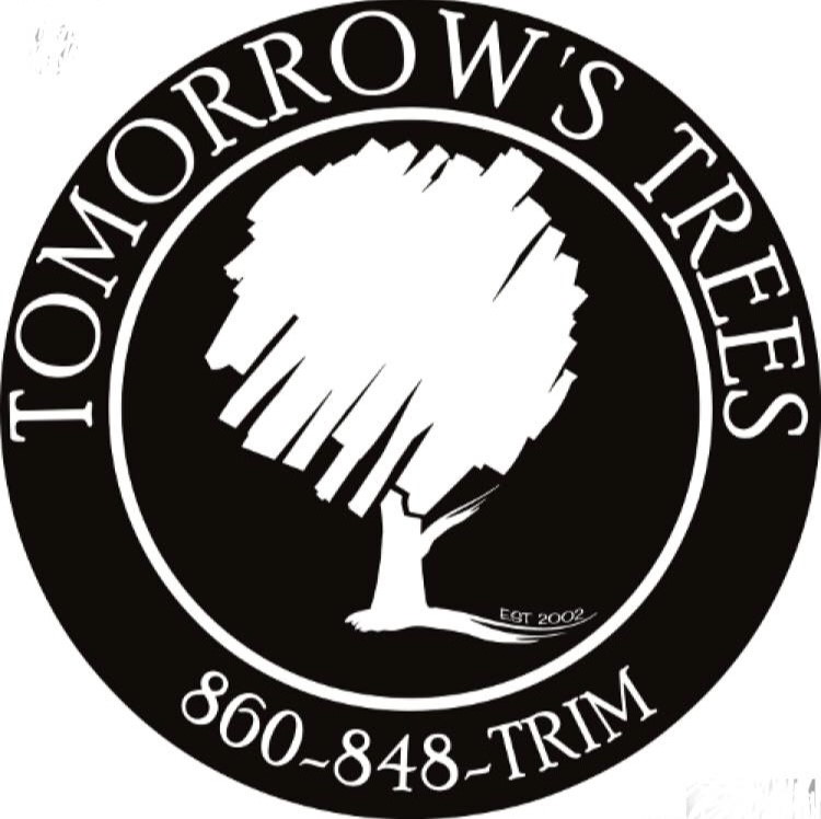 Tomorrow's Trees LLC logo