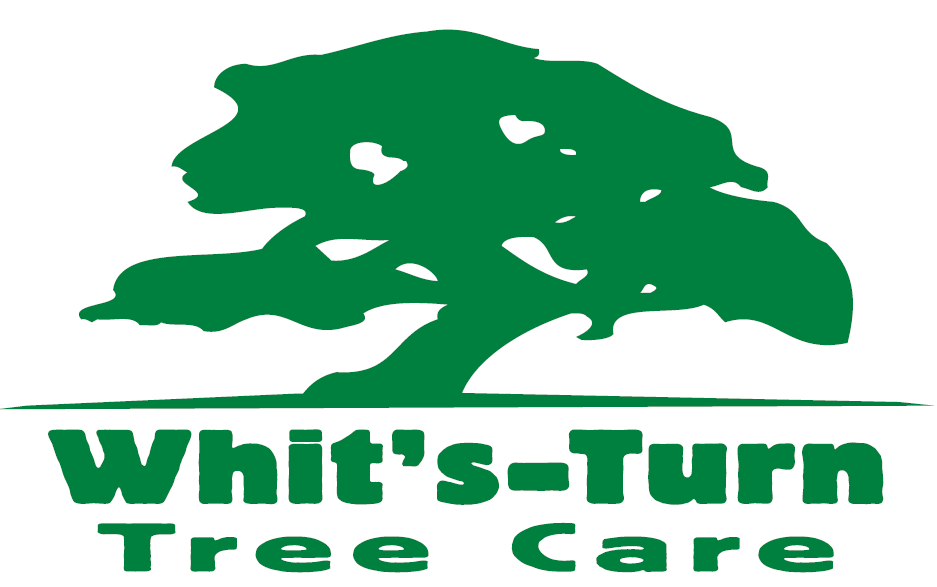 Logo for Whit's-Turn Tree Care
