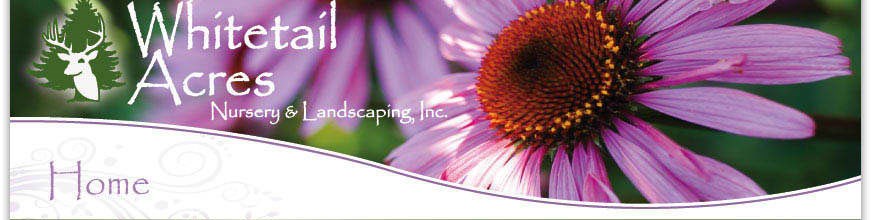 Whitetail Acres Nursery & Landscaping Inc logo