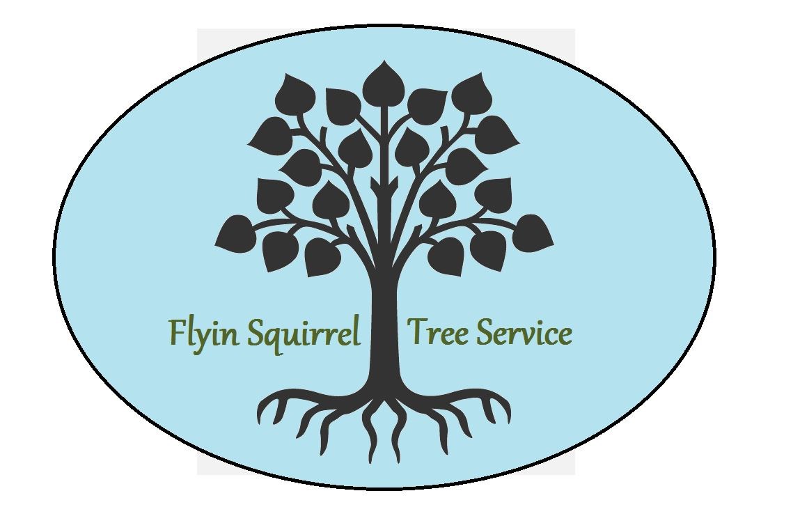 Flyin Squirrel Tree Service logo