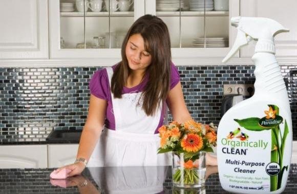 Logo for ORGANIC MAID SERVICES