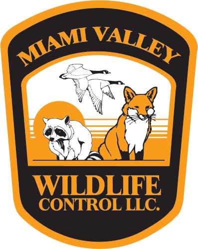 Logo for Miami Valley Wildlife Control LLC