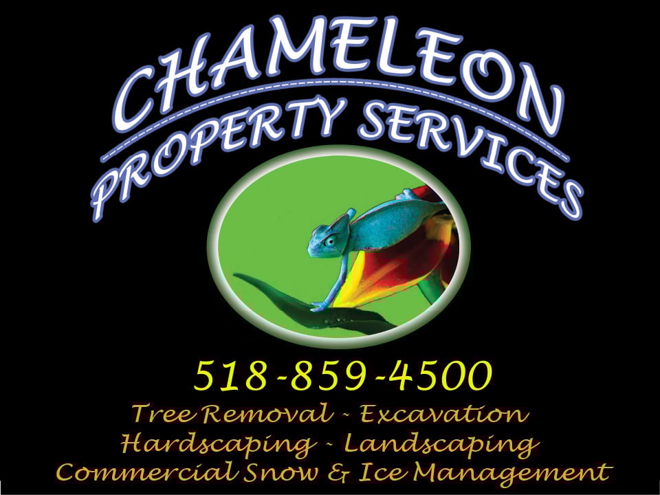 Logo for Chameleon Property Services