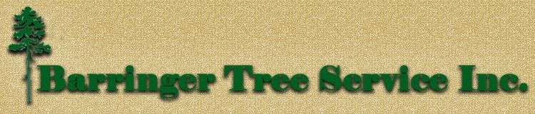 Barringer Tree Service Inc logo