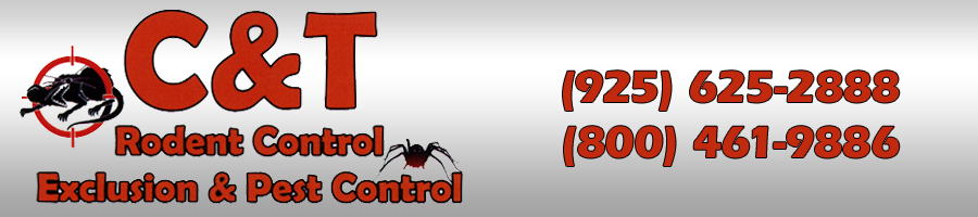 C & T Rodent Control Exclusion & Pest Control logo