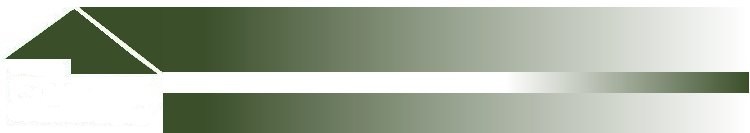 David Green Construction LLC logo