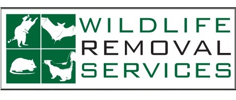 Logo for Wildlife Removal Services Inc