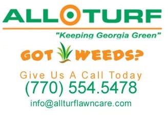 All Turf Inc logo