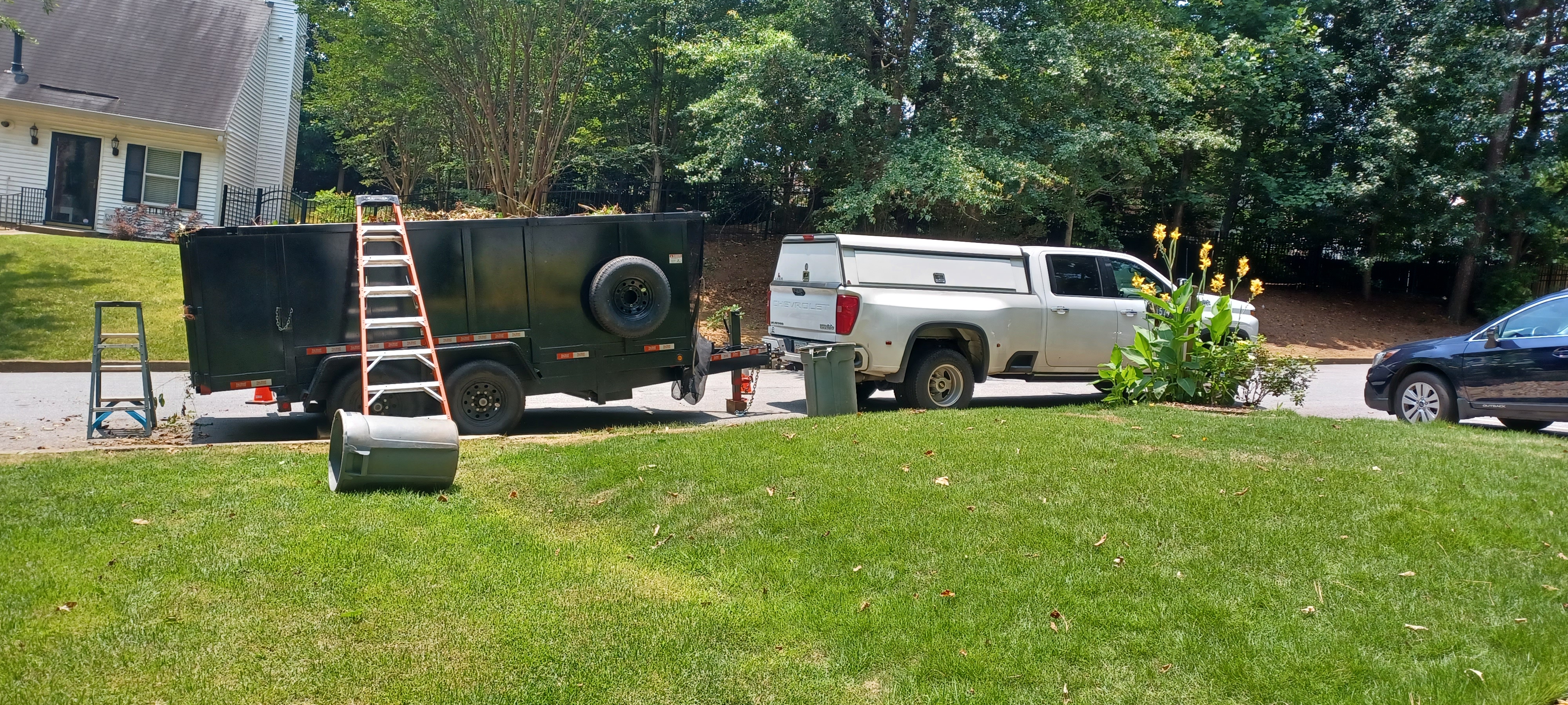 Overgrown Backyards. Kudzu Removal. Lot Clearing. logo