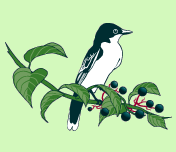 GreenWeaver Landscapes,LLC logo