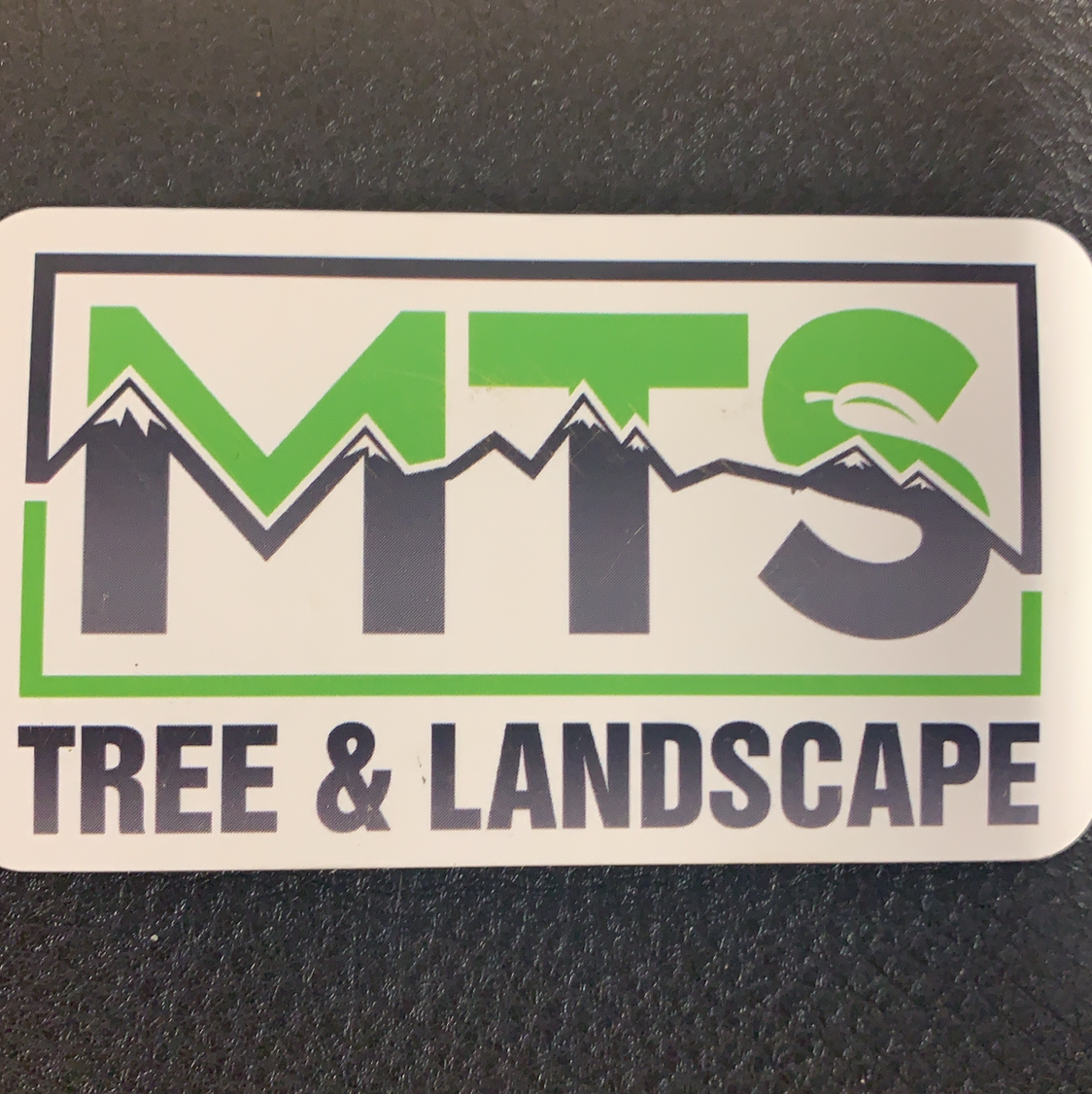 Logo for MTS Tree and Landscape
