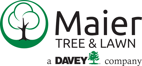 Logo for The Davey Tree Expert Company