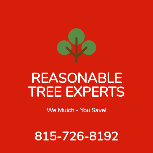 Logo for Reasonable Tree Experts