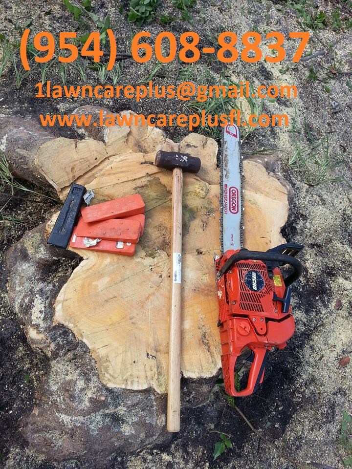 Logo for All About Trees Tree Service