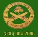 Logo for R&D Tree Services