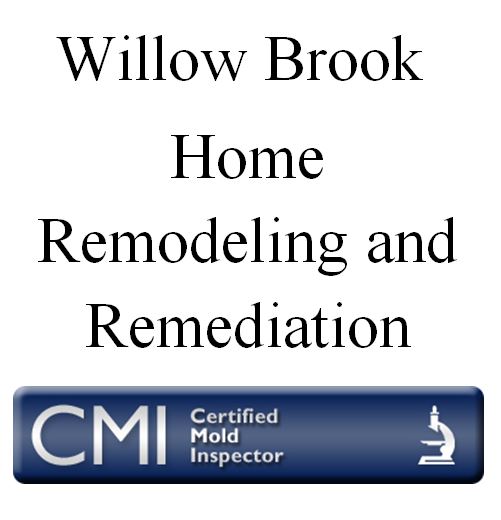 Logo for Willow Brook