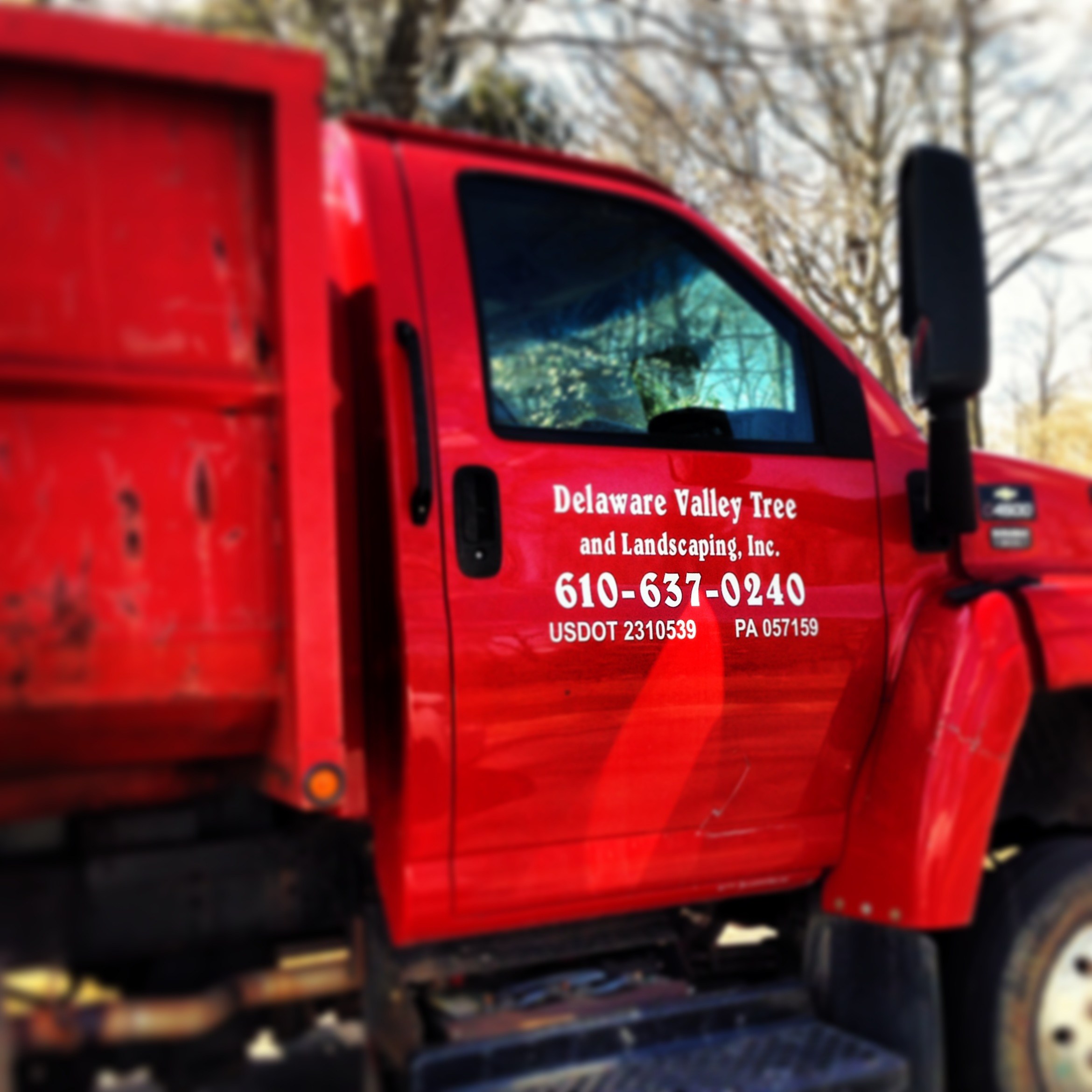 Delaware Valley Tree & Landscaping, Inc. logo