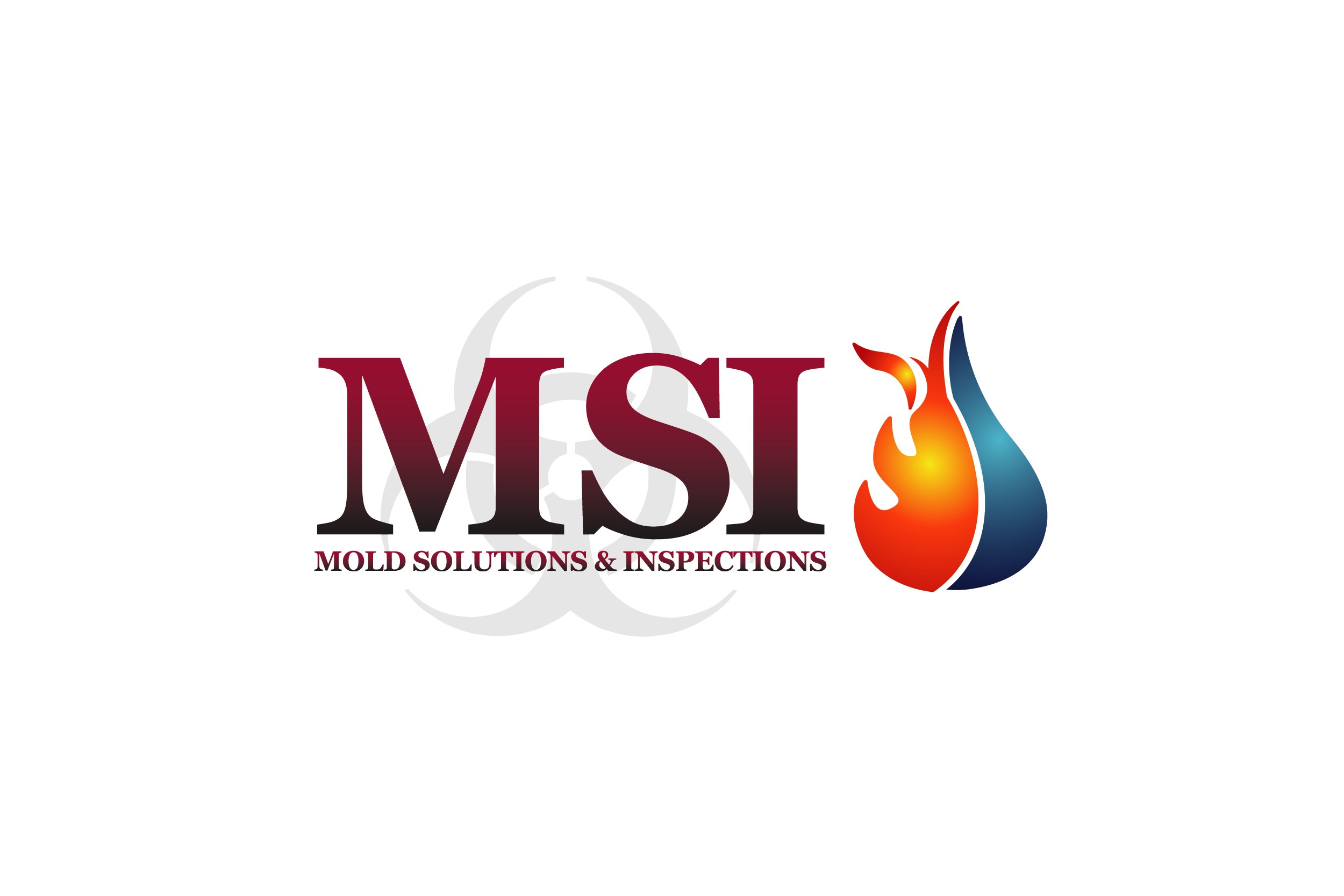 Logo for Mold Solutions & Inspections